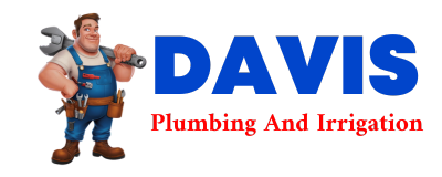 Trusted plumber in SARGENTS